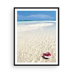 Load image into Gallery viewer, Bahamian Conch II