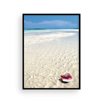 Load image into Gallery viewer, Bahamian Conch II