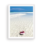 Load image into Gallery viewer, Bahamian Conch I