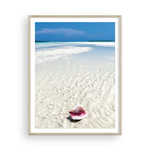 Load image into Gallery viewer, Bahamian Conch I