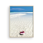 Load image into Gallery viewer, Bahamian Conch I