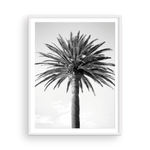 Load image into Gallery viewer, Black and White Bay Island Palm