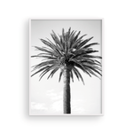 Load image into Gallery viewer, Black and White Bay Island Palm