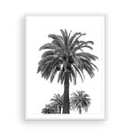 Load image into Gallery viewer, Black and White Catalina Palm