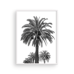 Load image into Gallery viewer, Black and White Catalina Palm