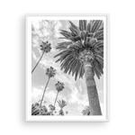 Load image into Gallery viewer, Catalina Palm II