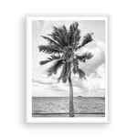 Load image into Gallery viewer, Black and White Tahitian Palm