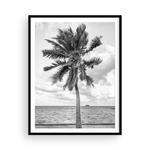 Load image into Gallery viewer, Black and White Tahitian Palm