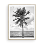 Load image into Gallery viewer, Black and White Tahitian Palm
