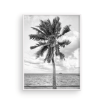 Load image into Gallery viewer, Black and White Tahitian Palm
