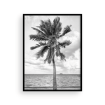 Load image into Gallery viewer, Black and White Tahitian Palm