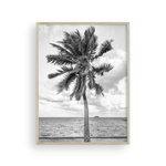 Load image into Gallery viewer, Black and White Tahitian Palm