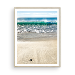 Load image into Gallery viewer, Brave Cabo Turtle