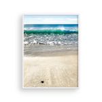 Load image into Gallery viewer, Brave Cabo Turtle