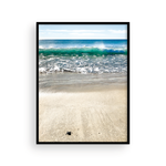 Load image into Gallery viewer, Brave Cabo Turtle