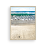 Load image into Gallery viewer, Brave Cabo Turtle