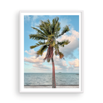 Load image into Gallery viewer, Color Tahitian Palm