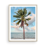 Load image into Gallery viewer, Color Tahitian Palm