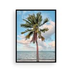 Load image into Gallery viewer, Color Tahitian Palm