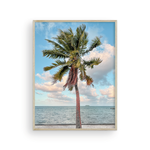 Load image into Gallery viewer, Color Tahitian Palm