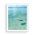 Load image into Gallery viewer, Day in the Life of a Bahamian Turtle