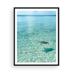 Load image into Gallery viewer, Day in the Life of a Bahamian Turtle