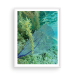 Load image into Gallery viewer, Fan-Tastic II