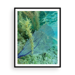 Load image into Gallery viewer, Fan-Tastic II