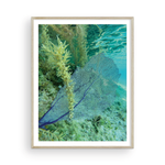 Load image into Gallery viewer, Fan-Tastic II