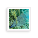 Load image into Gallery viewer, Fan-Tastic I