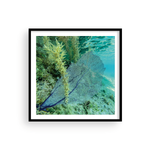 Load image into Gallery viewer, Fan-Tastic I