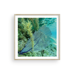 Load image into Gallery viewer, Fan-Tastic I