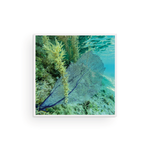 Load image into Gallery viewer, Fan-Tastic I