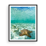 Load image into Gallery viewer, Happy Bahamian Starfish