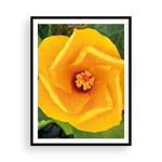 Load image into Gallery viewer, Hibiscus Vortex