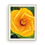 Load image into Gallery viewer, Hibiscus Vortex