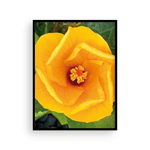 Load image into Gallery viewer, Hibiscus Vortex