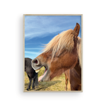 Load image into Gallery viewer, Icelandic Pony III