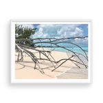 Load image into Gallery viewer, Shore Branches I