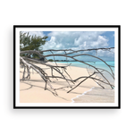 Load image into Gallery viewer, Shore Branches I