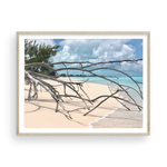 Load image into Gallery viewer, Shore Branches I