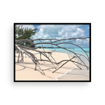 Load image into Gallery viewer, Shore Branches I