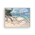 Load image into Gallery viewer, Shore Branches I