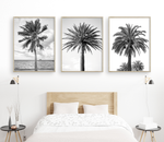 Load image into Gallery viewer, Three Palms Triptych
