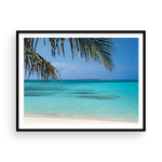 Load image into Gallery viewer, Palms Framing Beach I Horizontal