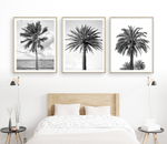 Load image into Gallery viewer, Three Palms Triptych