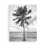 Load image into Gallery viewer, Palm Tree Collection