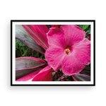 Load image into Gallery viewer, Pink on Pink Hibiscus