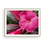 Load image into Gallery viewer, Pink on Pink Hibiscus