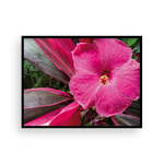 Load image into Gallery viewer, Pink on Pink Hibiscus